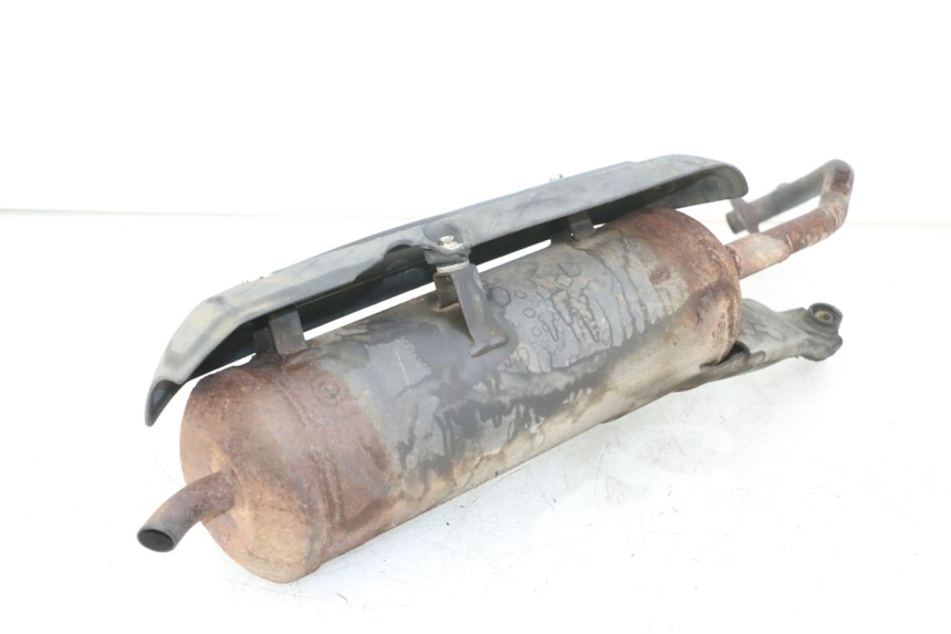 photo de EXHAUST PEUGEOT TWEET PRO CARGO 50 (2018 - 2020)