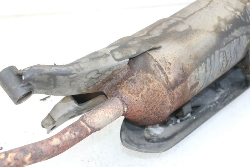 photo de EXHAUST PEUGEOT TWEET PRO CARGO 50 (2018 - 2020)