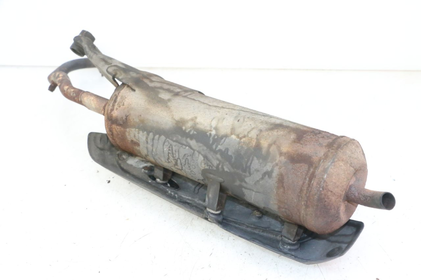 photo de EXHAUST PEUGEOT TWEET PRO CARGO 50 (2018 - 2020)
