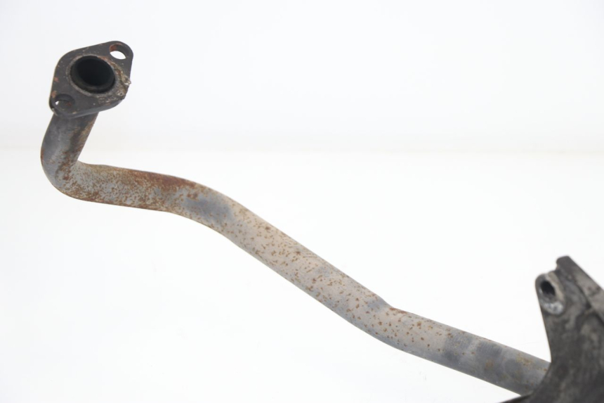 photo de EXHAUST SACHS EAGLE 50 (2007 - 2010)