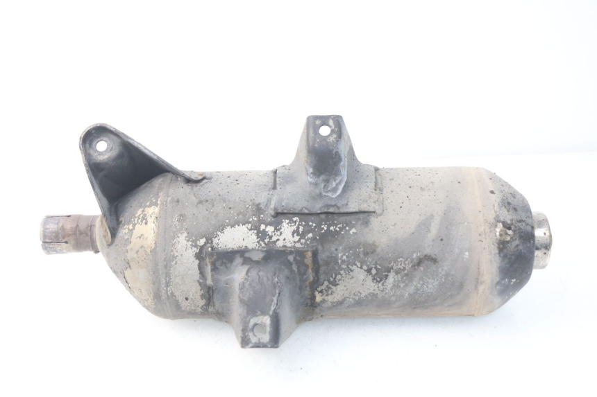 photo de EXHAUST PEUGEOT SATELIS 300 (2012 - 2015)