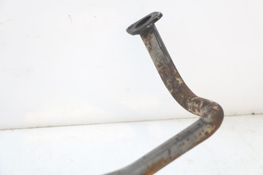 photo de EXHAUST JM MOTORS SUNNY 50 (2017 - 2020)