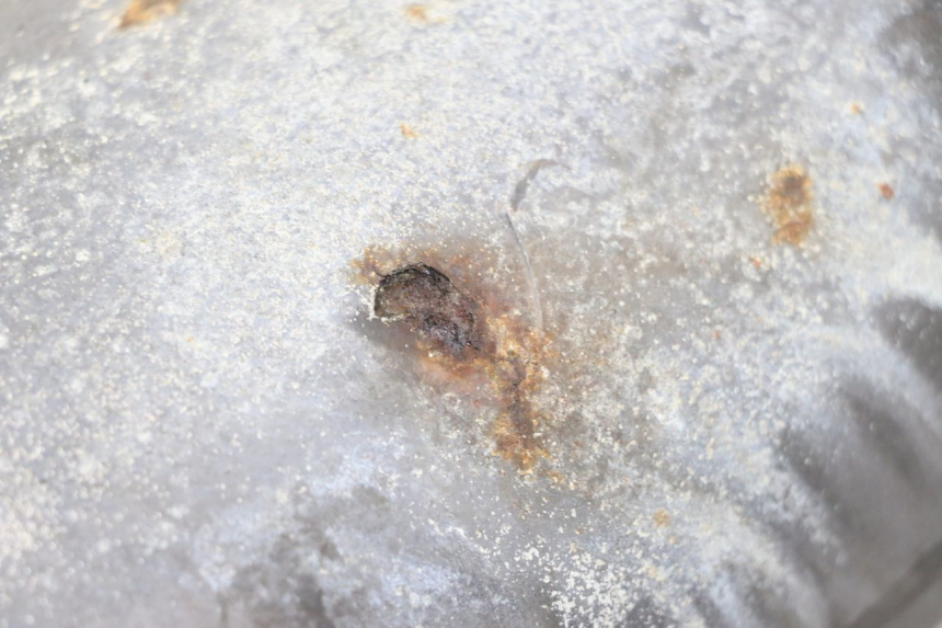 photo de EXHAUST PIPE YAMAHA YP MAJESTY 125 (2007 - 2010)