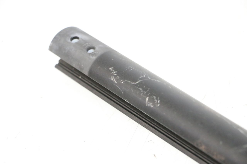 photo de STEM DUALTRON AMINIA 1