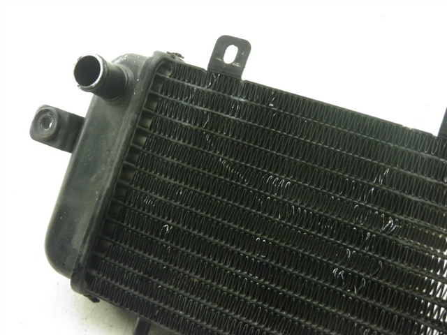 photo de RADIATOR BMW C1 125 (2000 - 2003)
