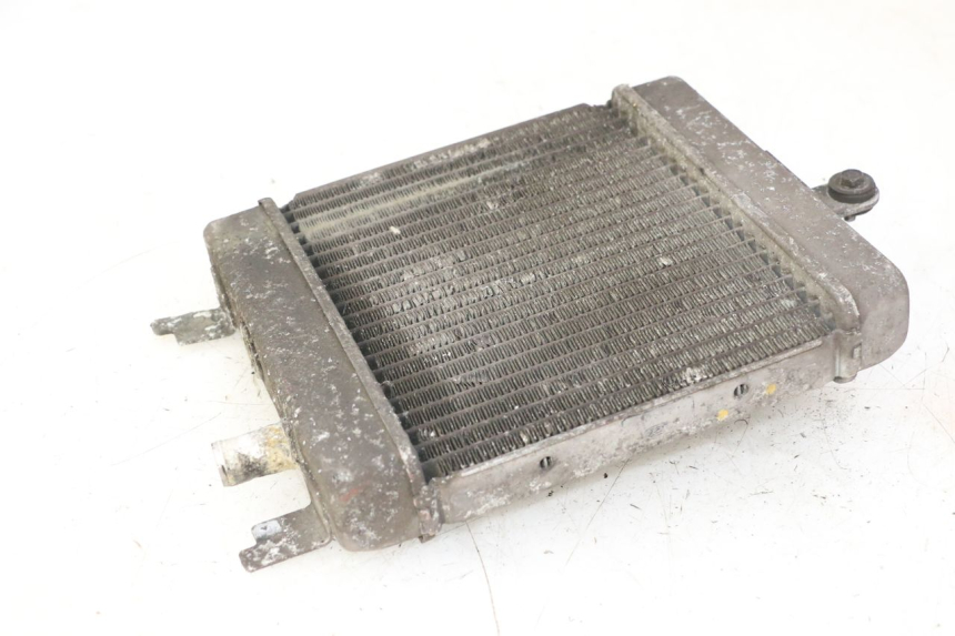 photo de RADIATOR SUZUKI BURGMAN 125 (2007 - 2014)