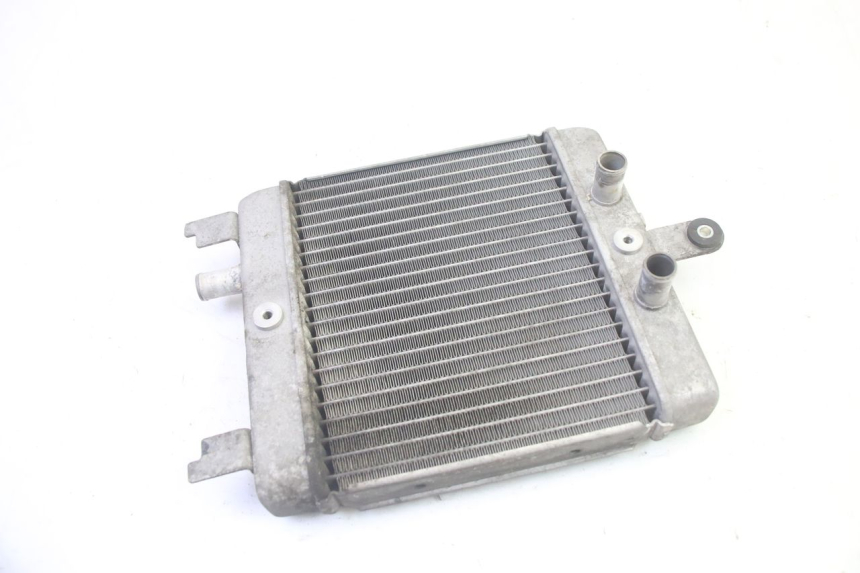 photo de RADIATOR SUZUKI BURGMAN 125 (2007 - 2014) - Main view