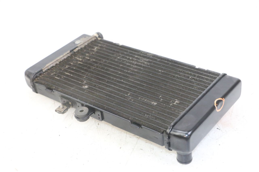photo de COOLANT RADIATOR HONDA CBF 500 (2004 - 2007)