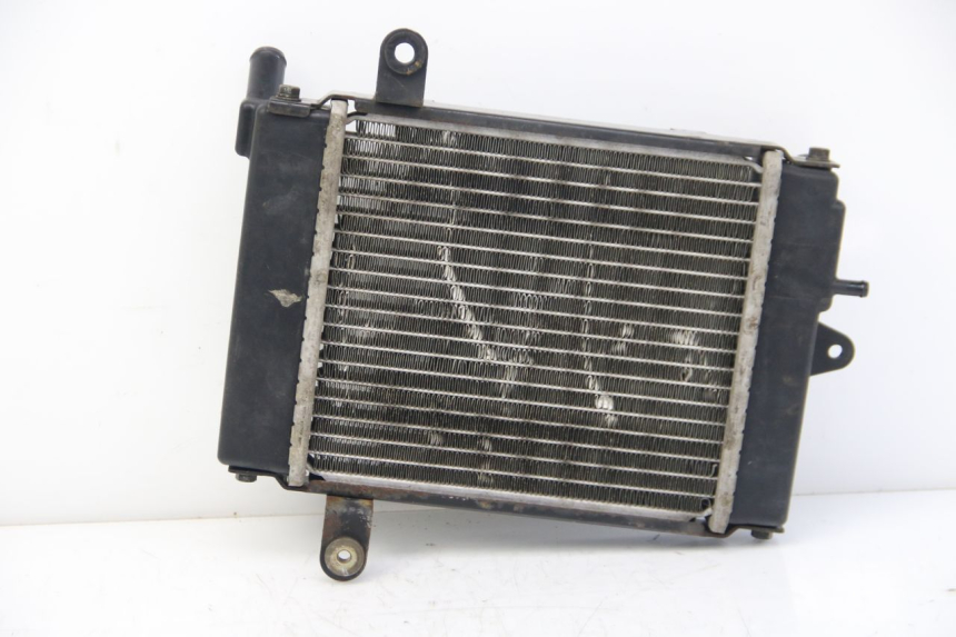 photo de RADIATOR DAELIM S3 125 (2010 - 2017)