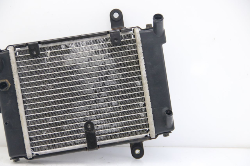 photo de RADIATOR DAELIM S3 125 (2010 - 2017)