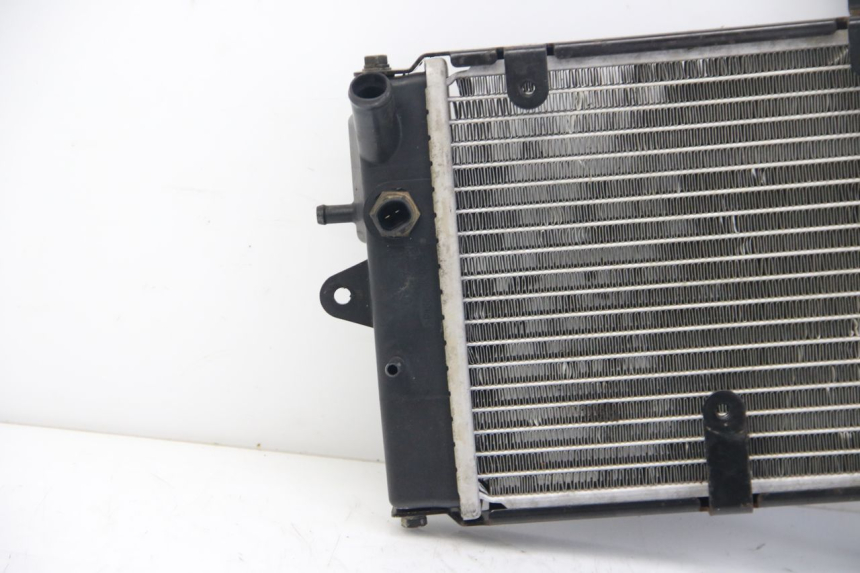 photo de RADIATOR DAELIM S3 125 (2010 - 2017)