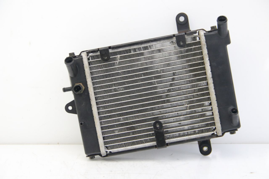 photo de RADIATOR DAELIM S3 125 (2010 - 2017)