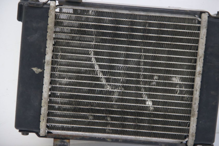 photo de RADIATOR DAELIM S3 125 (2010 - 2017)