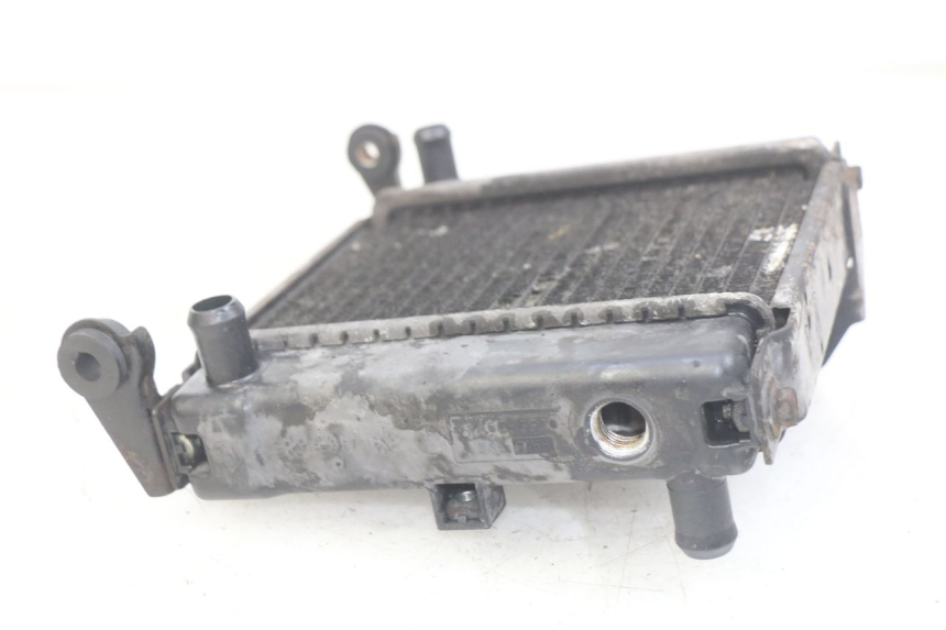 photo de RADIATOR KYMCO DINK STREET 125 (2009 - 2014)