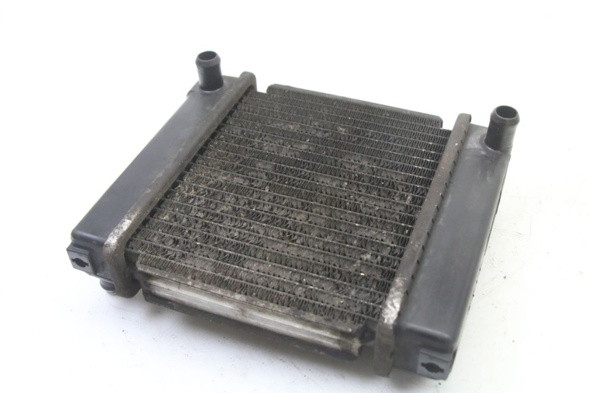 photo de RADIATOR KYMCO DINK STREET 125 (2009 - 2014)