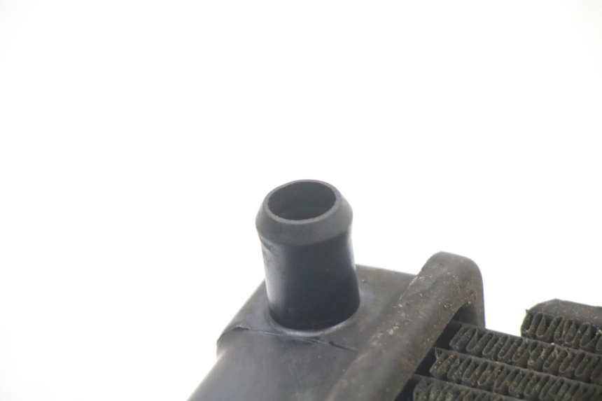 photo de RADIATOR KYMCO DINK STREET 125 (2009 - 2014)