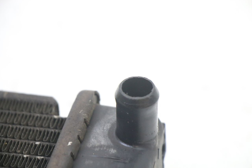 photo de RADIATOR KYMCO DINK STREET 125 (2009 - 2014)