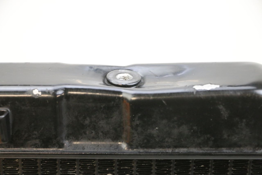 photo de COOLANT RADIATOR SUZUKI DL V STROM 1000 (2002 - 2007) - Alternative perspective