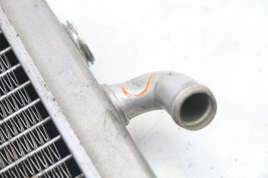 photo de RADIATOR PEUGEOT ELYSEO 125 (1999 - 2004)