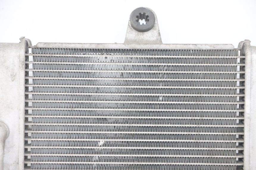 photo de COOLANT RADIATOR HONDA FORZA ABS 300 (2013 - 2019)