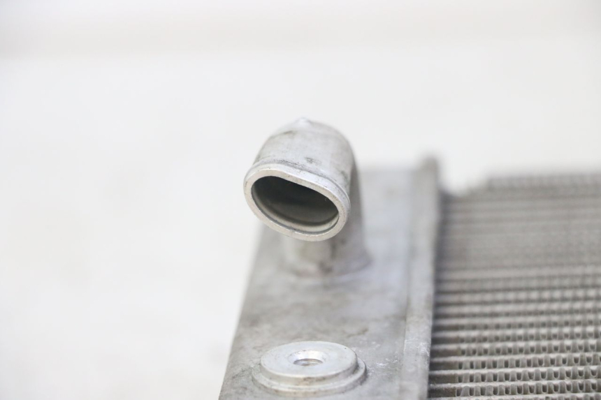 photo de COOLANT RADIATOR HONDA FORZA ABS 300 (2013 - 2019)