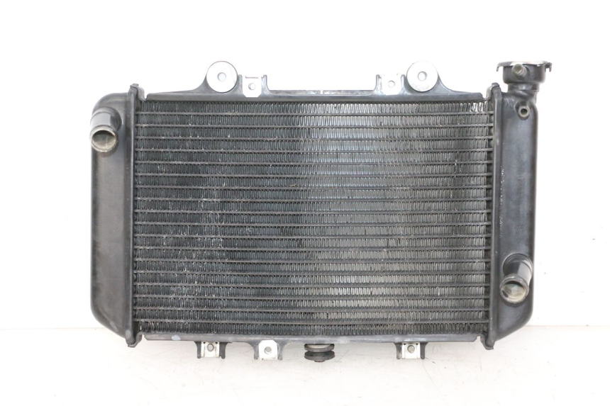 photo de COOLANT RADIATOR BMW G310 R 310 (2016 - 2020)