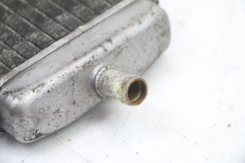 photo de LEFT COOLANT RADIATOR PIAGGIO VESPA GRANTURISMO 125 (2003 - 2007)