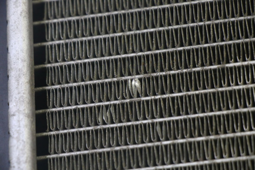 photo de COOLANT RADIATOR KYMCO GRAND DINK 125 (2002 - 2007)