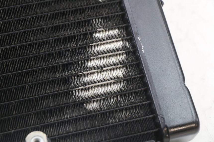 photo de COOLANT RADIATOR HONDA CBR F 1000 (1993 - 1996)