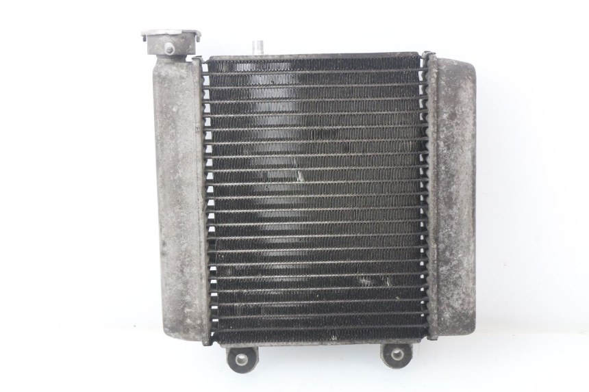 photo de COOLANT RADIATOR HONDA FES PANTHEON 125 (2003 - 2007)