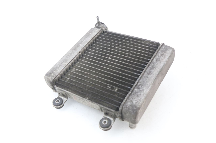 photo de COOLANT RADIATOR HONDA FES PANTHEON 125 (2003 - 2007)