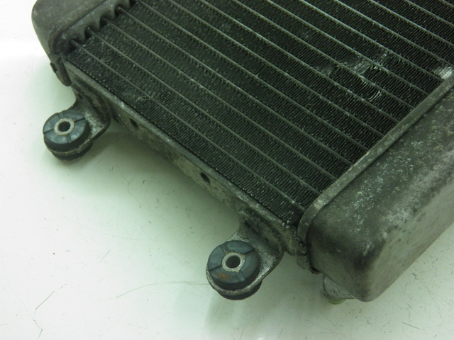 photo de COOLANT RADIATOR HONDA FES S-WING SWING 125 (2007 - 2015) - Alternative perspective