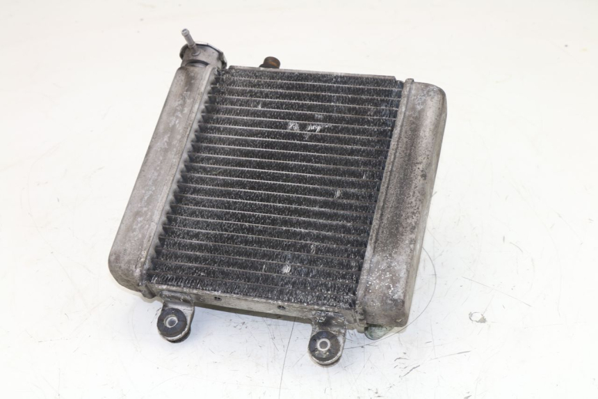 photo de COOLANT RADIATOR HONDA FES S-WING SWING 125 (2007 - 2015)