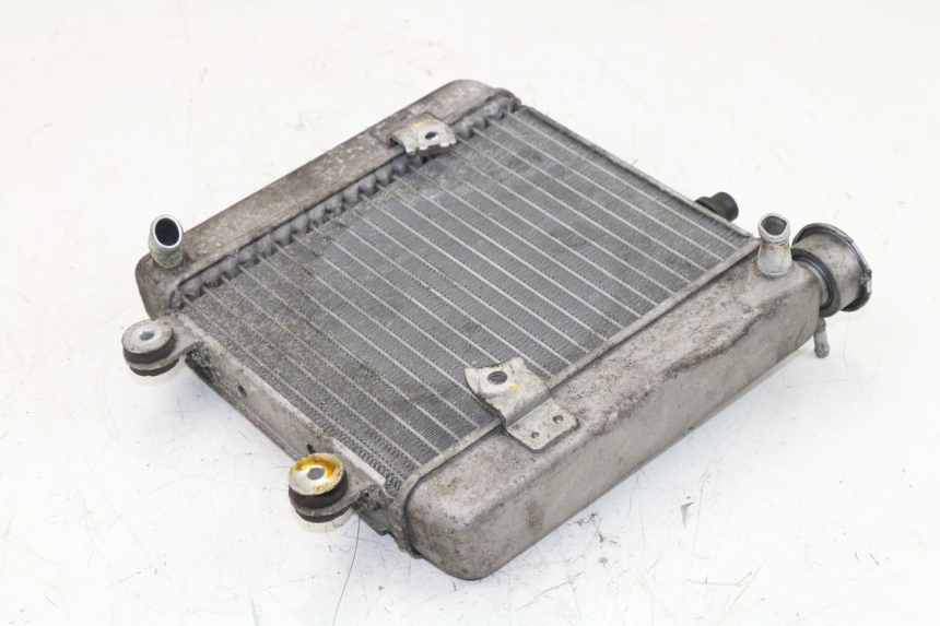 photo de COOLANT RADIATOR HONDA FES S-WING SWING 125 (2007 - 2015)