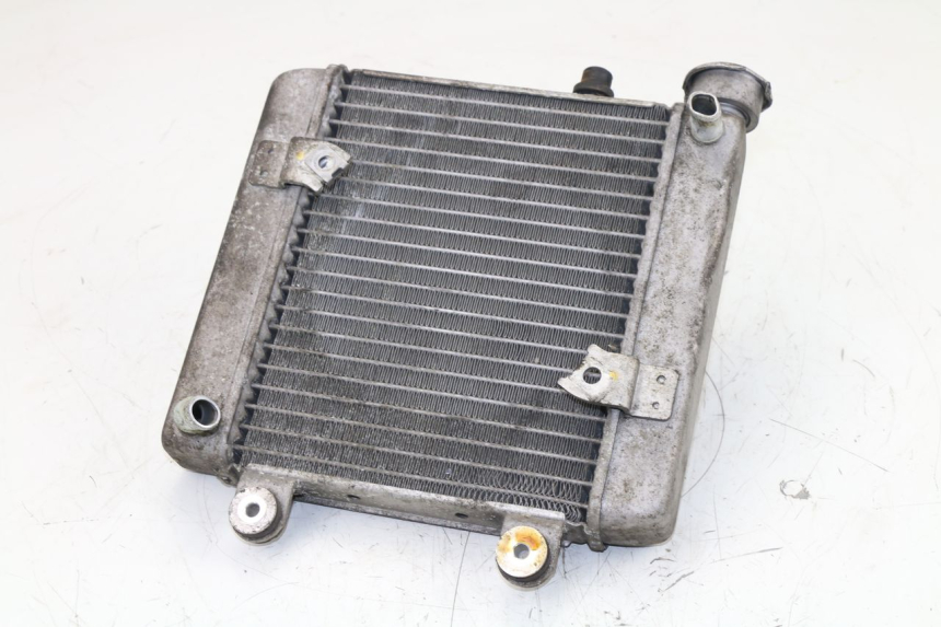 photo de COOLANT RADIATOR HONDA FES S-WING SWING 125 (2007 - 2015)