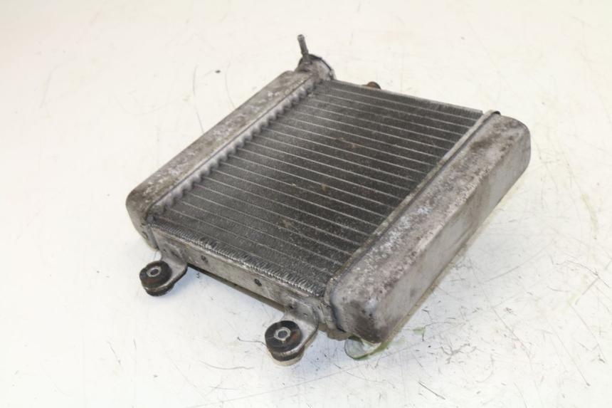 photo de COOLANT RADIATOR HONDA FES S-WING SWING 125 (2007 - 2015)