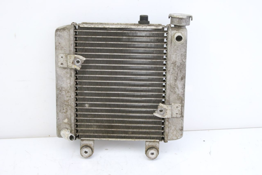 photo de RADIATOR HONDA FES S-WING SWING ABS 125 (2007 - 2015)