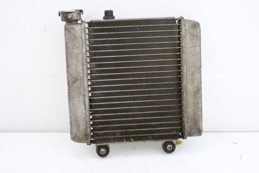 photo de RADIATOR HONDA FES S-WING SWING ABS 125 (2007 - 2015)