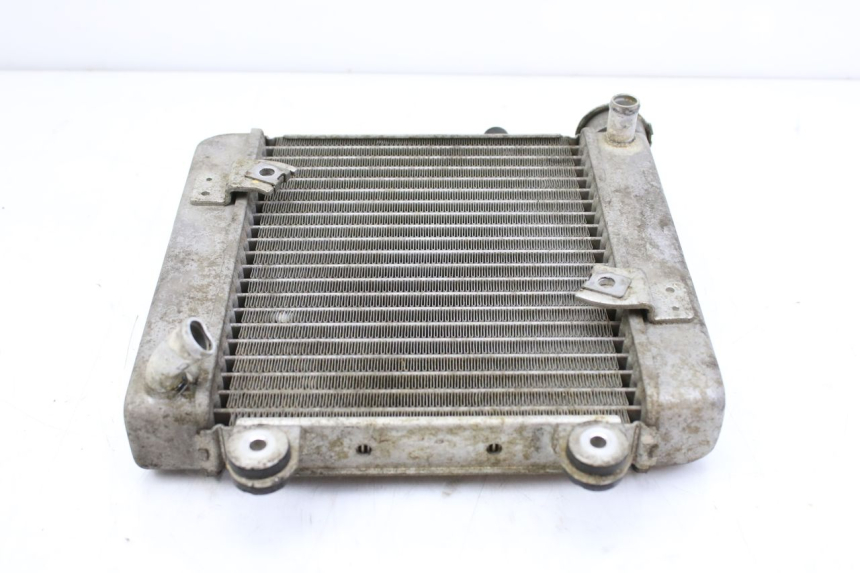 photo de RADIATOR HONDA FES S-WING SWING ABS 125 (2007 - 2015)