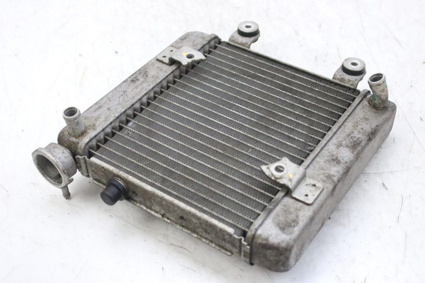 photo de RADIATOR HONDA FES S-WING SWING ABS 125 (2007 - 2015)