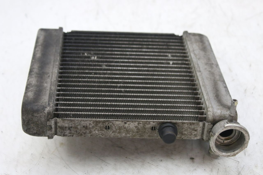 photo de RADIATOR HONDA FES S-WING SWING ABS 125 (2007 - 2015)