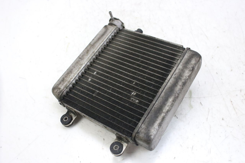 photo de RADIATOR HONDA FES S-WING SWING ABS 125 (2007 - 2015)