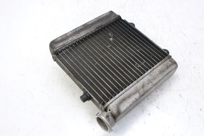 photo de RADIATOR HONDA FES S-WING SWING ABS 125 (2007 - 2015)