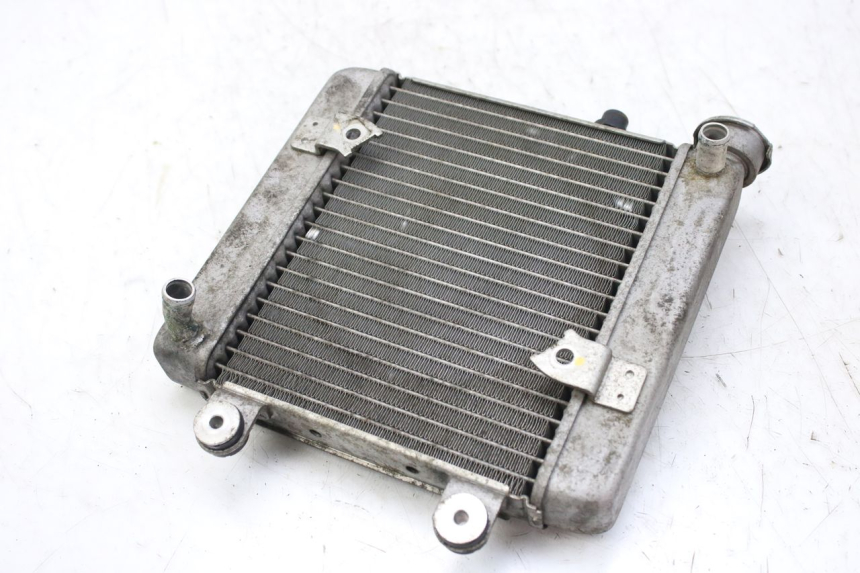 photo de RADIATOR HONDA FES S-WING SWING ABS 125 (2007 - 2015)