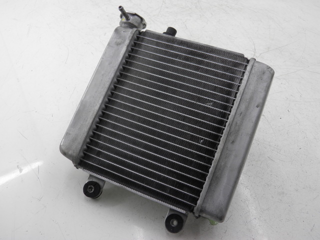 photo de RADIATOR HONDA FES S-WING SWING ABS 125 (2007 - 2015)