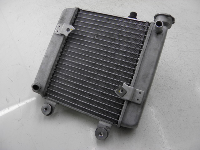 photo de RADIATOR HONDA FES S-WING SWING ABS 125 (2007 - 2015)