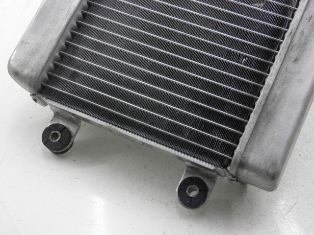 photo de RADIATOR HONDA FES S-WING SWING ABS 125 (2007 - 2015)