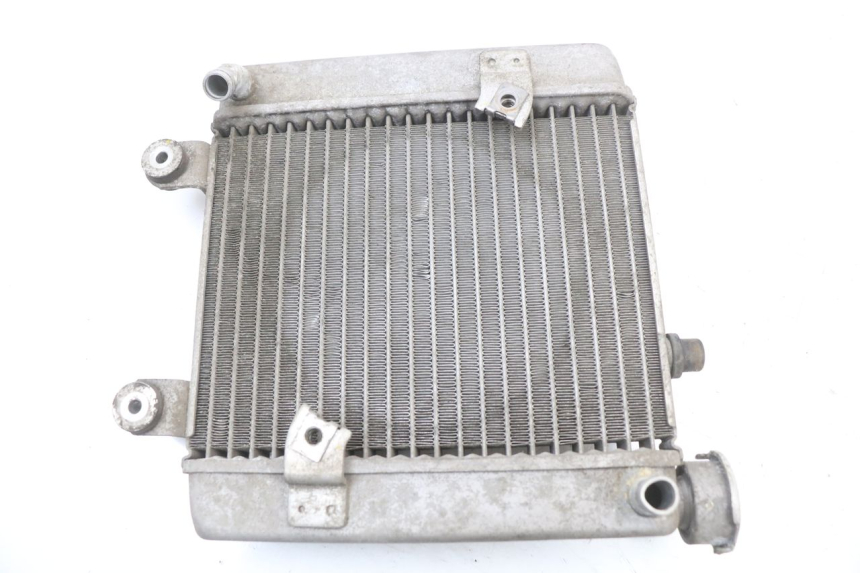 photo de RADIATOR HONDA FES S-WING SWING ABS 125 (2007 - 2015)