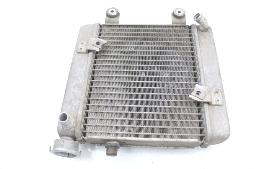 photo de RADIATOR HONDA FES S-WING SWING ABS 125 (2007 - 2015)