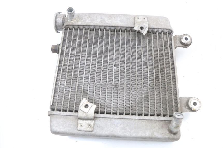 photo de RADIATOR HONDA FES S-WING SWING ABS 125 (2007 - 2015)